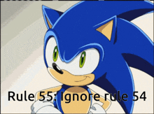 Rule 55 Sonic GIF - Rule 55 Sonic Rule 55ignore Rule54 GIFs