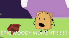 Woody Epic GIF - Woody Epic Bfb GIFs