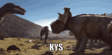 Dinosaur Kys GIF - Dinosaur Kys Triceratops GIFs
