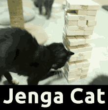 I Play Jenga Ever Day GIF - I Play Jenga Ever Day GIFs
