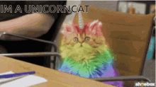 Unicorn Cat GIF - Unicorn Cat GIFs