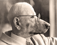 a man wearing glasses has a dog 's nose