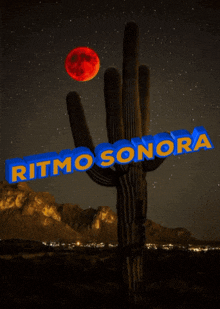 a picture of a cactus with the words ritmo sonora on it