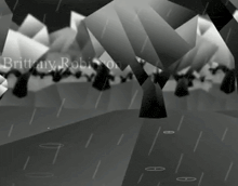 a black and white photo of brittany robinson in a forest