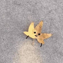 Leaves Hold GIF - Leaves Hold Hands GIFs