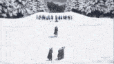 a group of people are standing in a snowy field with trees in the background