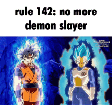 rule142 no demon slayer