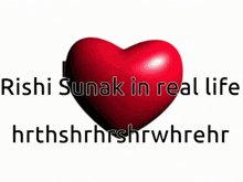 Rishi Sunak In Real Life GIF
