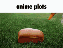Anime Plot Anime Meme GIF - Anime Plot Anime Meme Anime Sucks GIFs
