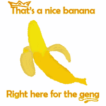 banana sk8bob