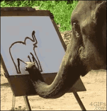art elephant drawing painting painting elephant