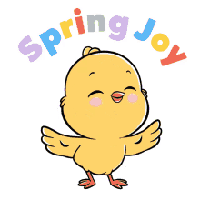 chick spring