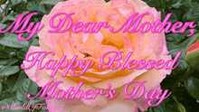 a mother 's day card with a pink rose