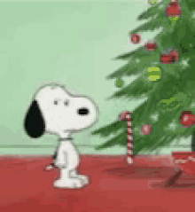 Snoopy Christmas GIF - Snoopy Christmas Christmas Dog GIFs
