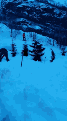 Fail Skijump GIF - Fail Skijump Skiing GIFs