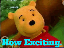 The Book Of Pooh How Exciting GIF - The Book Of Pooh How Exciting Pooh GIFs