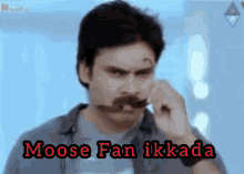 Moose GIF - Moose GIFs
