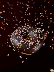 Donut Human GIF - Donut Human Eating GIFs