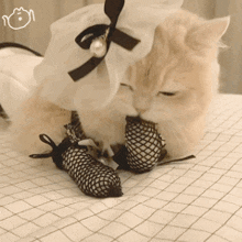 a cat wearing a white dress and fishnet stockings is laying on a bed