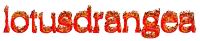 the word lotusdrangea is written in red and orange flames