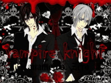 Kaname Zero GIF - Kaname Zero Vampire GIFs