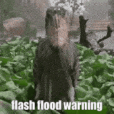 a bird with a large beak is standing in a field of leaves and says flash flood warning .