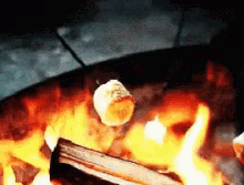 Bon Fire Marshmallow GIF