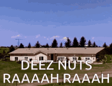 Purgatory Deez Nuts GIF - Purgatory Deez Nuts GIFs