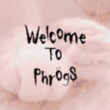 Welcome To Phrogs GIF - Welcome To Phrogs GIFs