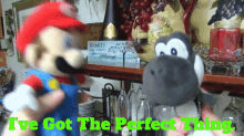 Sml Mario GIF - Sml Mario Ive Got The Perfect Thing GIFs