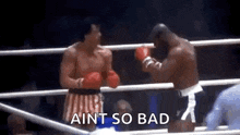 Boxing Boxers GIF - Boxing Boxers Sport GIFs