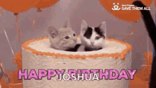 Happy Birthday Birthday Cake GIF - Happy Birthday Birthday Cake Kittens GIFs