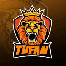 Tufan GIF - Tufan GIFs