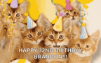 Happy Birthday Cat GIF - Happy Birthday Cat Kittens GIFs