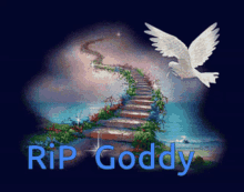 Rip Goddy Dove GIF - Rip Goddy Dove GIFs