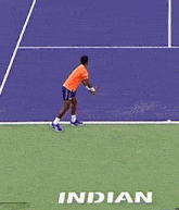 Sumit Nagal Tennis GIF - Sumit Nagal Tennis India GIFs