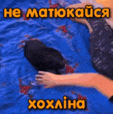 a picture of a person laying on a bed with a cat laying on their lap with a caption in a foreign language
