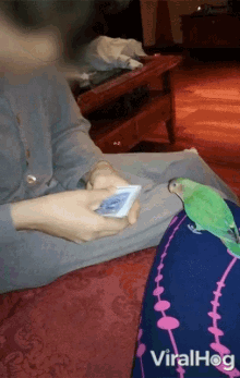 Parrot Picking Card Cards GIF - Parrot Picking Card Cards Bird GIFs
