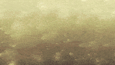 a brown and yellow background with a few white dots