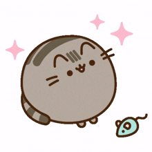 pusheen nice cat mice pusheen nice cat mice