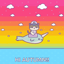 narwhals kitty hi autumn flying cat