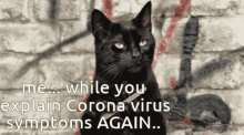 coronavirus you