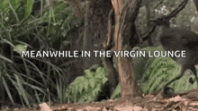 a sign that says meanwhile in the virgin lounge with trees in the background