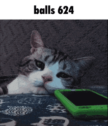 a cat is laying on a blanket next to a green cell phone with the text balls 624 above it