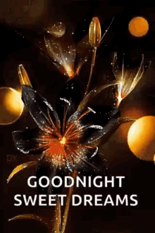 Goodnight Sparkles GIF