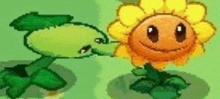 a green plant is standing next to a sunflower in a cartoon .