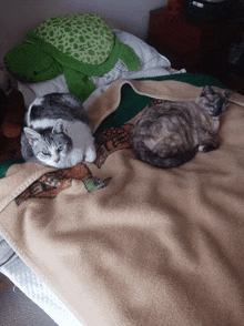 two cats laying on a blanket on a bed with a green pillow in the background