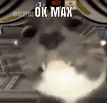 Ok Max Okay Max GIF - Ok Max Okay Max Max Cat GIFs