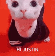 Hi Justin Justin GIF