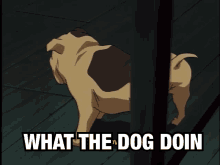 Ghost Stories Dog GIF - Ghost Stories Dog Sog GIFs